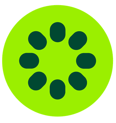 Kiwi Marketing Agency